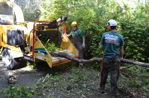 tree services Kettleman City